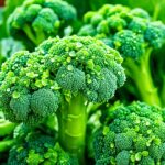 tips on choosing fresh broccoli